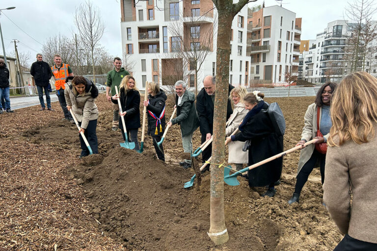 First tree in the Rouget de Lisle eco-neighbourhood in Poissy
